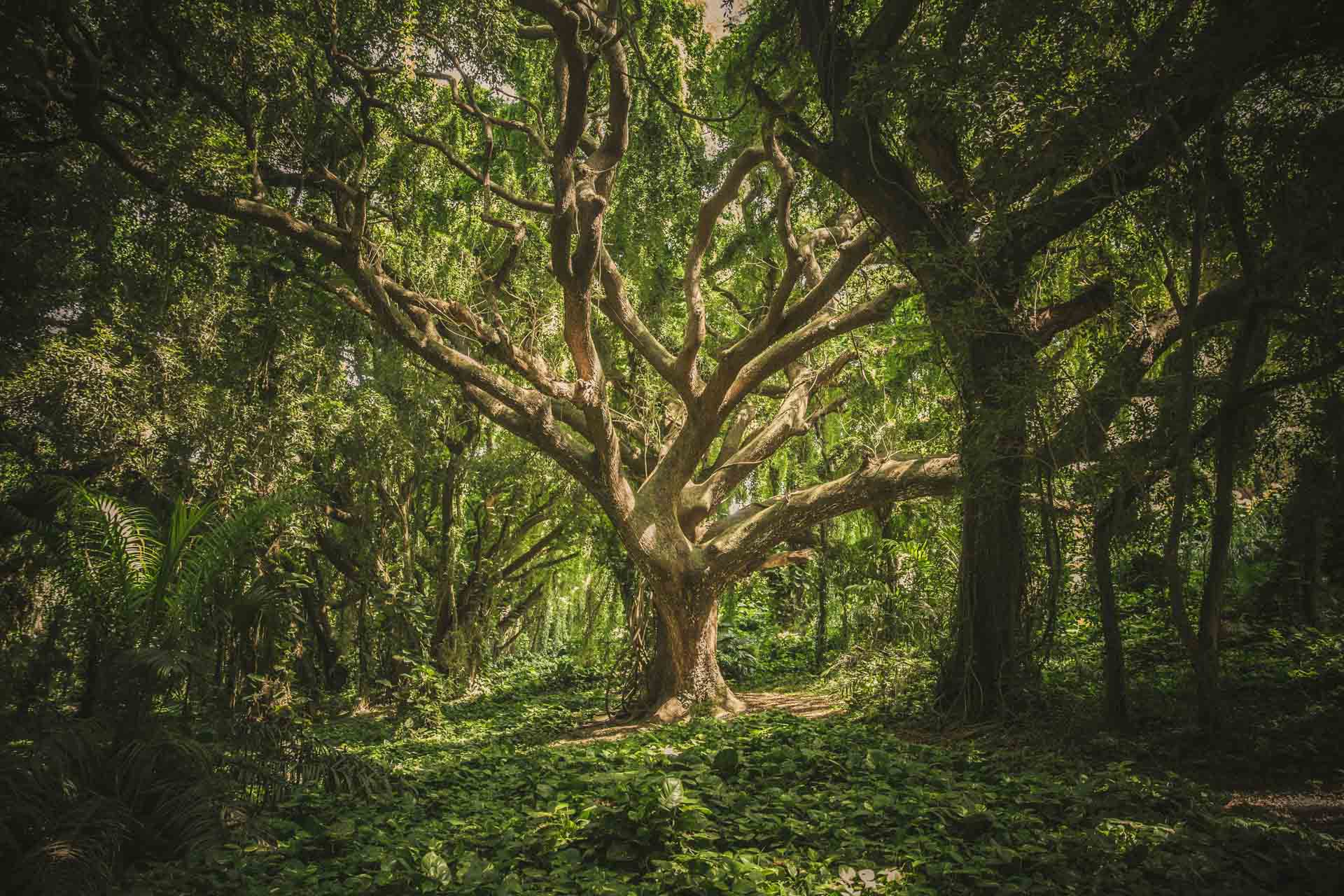 Mindfulness therapy support in Michigan