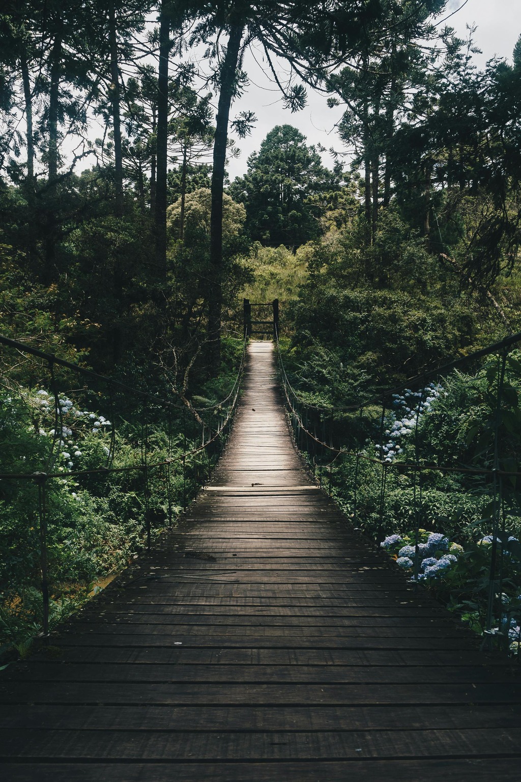 A calm therapy space for dialectical behavior therapy